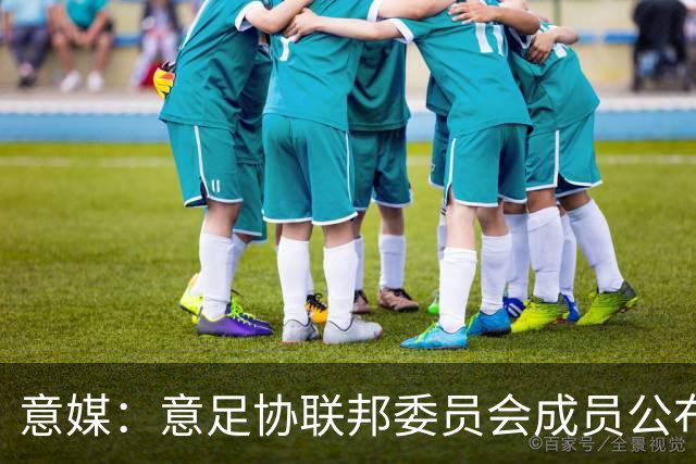 意媒：意足协联邦委员会成员公布，马洛塔和基耶利尼等人全员留任